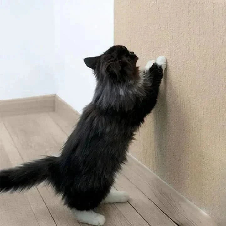 Cat Scratcher Mat, Sofa Protector for Cats