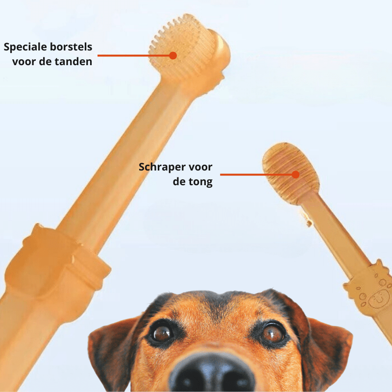 Dog Finger Toothbrush, Silicone Dog Teeth Cleaner for Plaque and Bad Breath – image 4