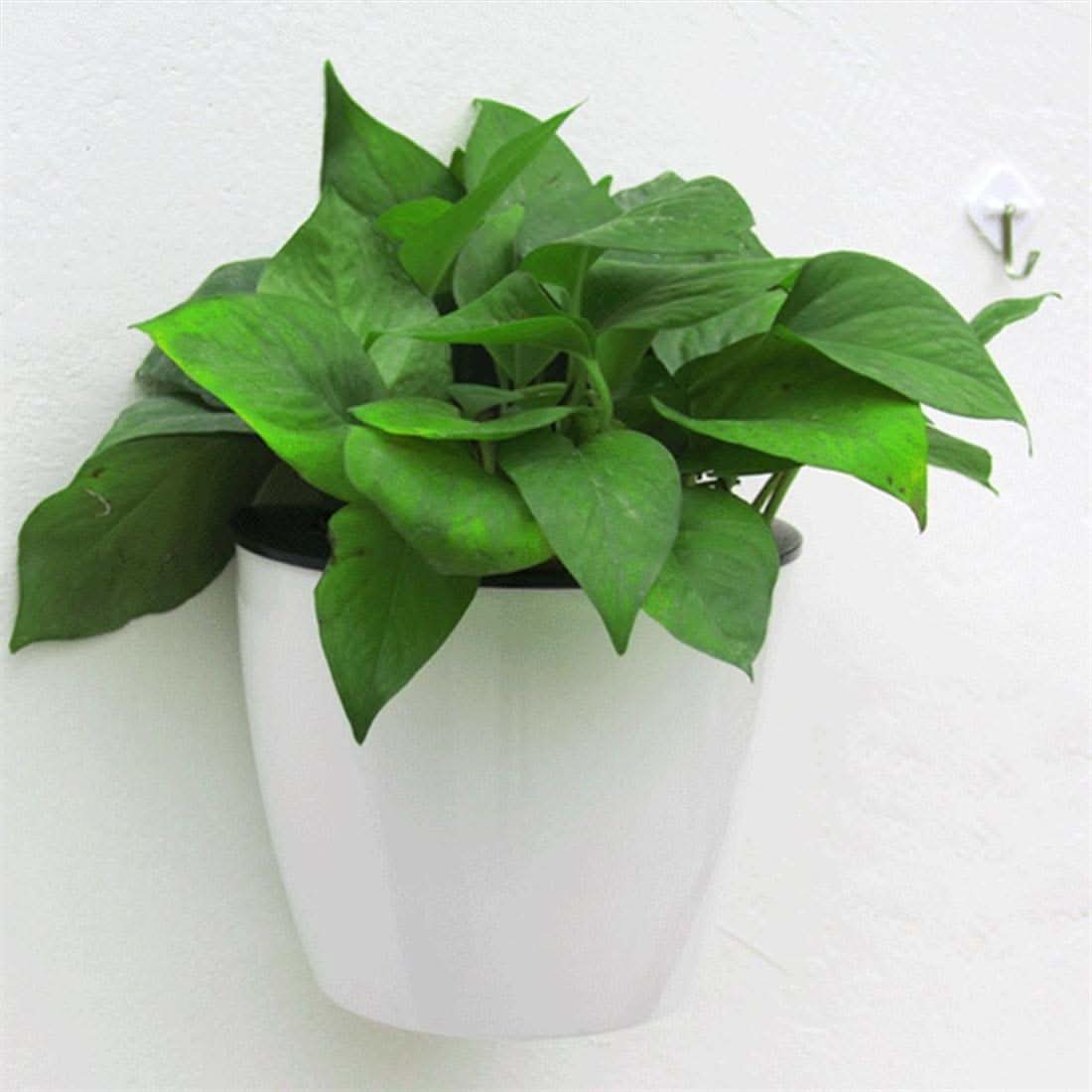 Self Watering Plant Pots, Wall Mounted Flower Pot with Bracket, Vertical Wall Planter for Indoor and Outdoor Plants_05