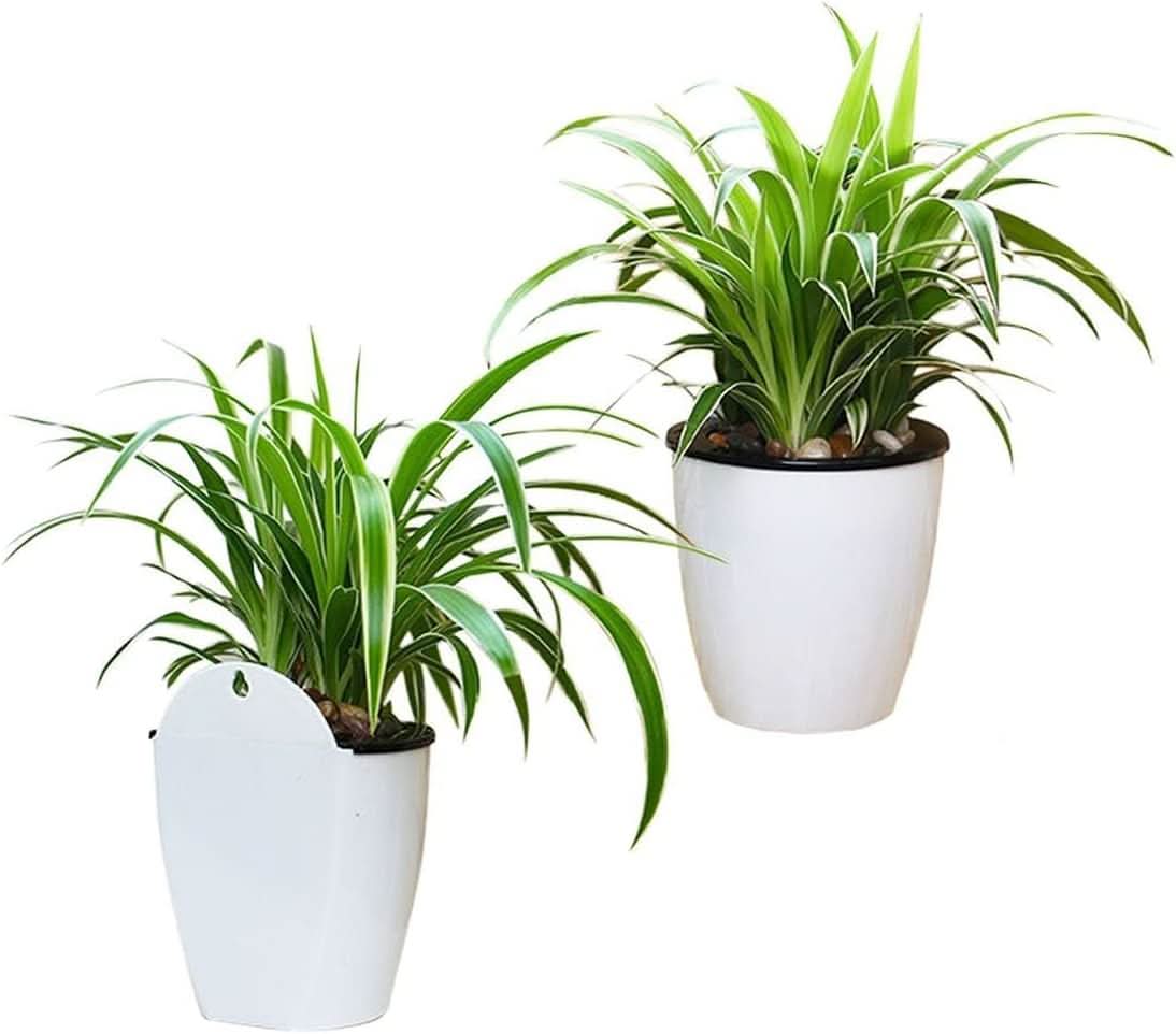 Self Watering Plant Pots, Wall Mounted Flower Pot with Bracket, Vertical Wall Planter for Indoor and Outdoor Plants_07