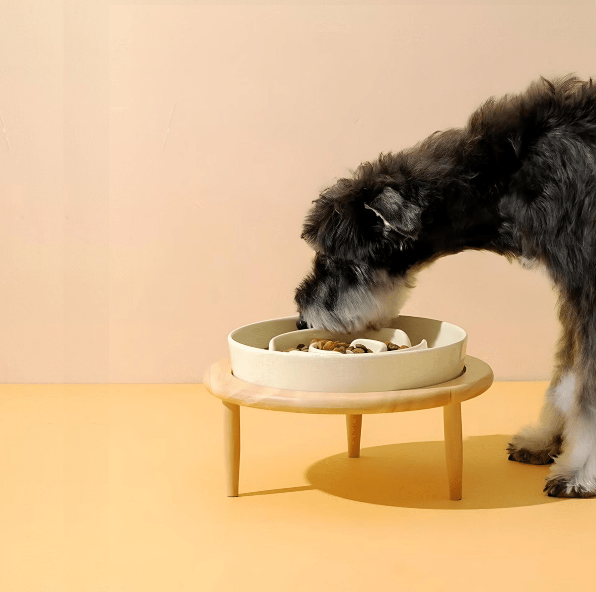 Slow Feeder Dog Bowls, Ceramic Cat Bowl for Dry and Wet Food, Dog Bowl with Stand Option, Slow Feeder for Dogs and Cats_04