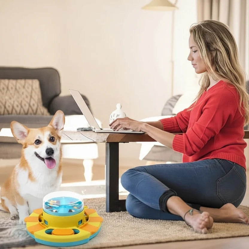 Slow Feeder Dog Bowl Anti Gulping, Puzzle Feeder for Cats, Cat Food Bowl with Maze, Dog Food Bowl 30 cm_02