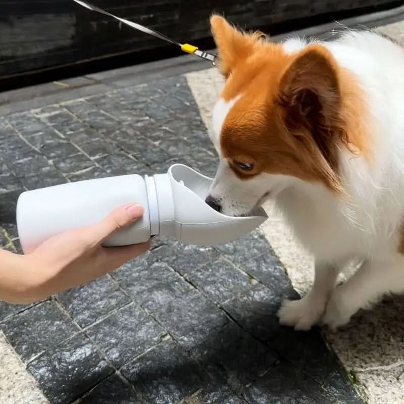 Foldable Dog Water Bottle, Portable Pet Water Bottle 550 ml for Walks