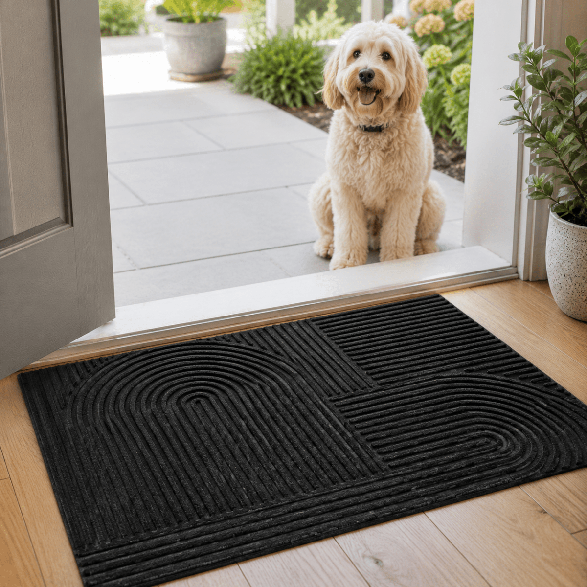 Door Mats Indoor, Washable Front Door Mat with Absorbent Surface, Non Slip Mat for Entrance and Hallway
