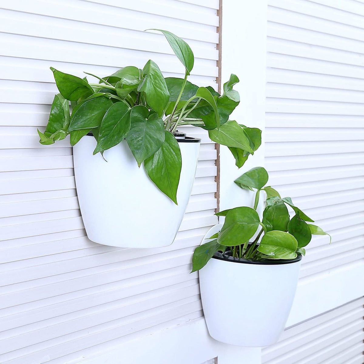 Self Watering Plant Pots, Wall Mounted Flower Pot with Bracket, Vertical Wall Planter for Indoor and Outdoor Plants_08