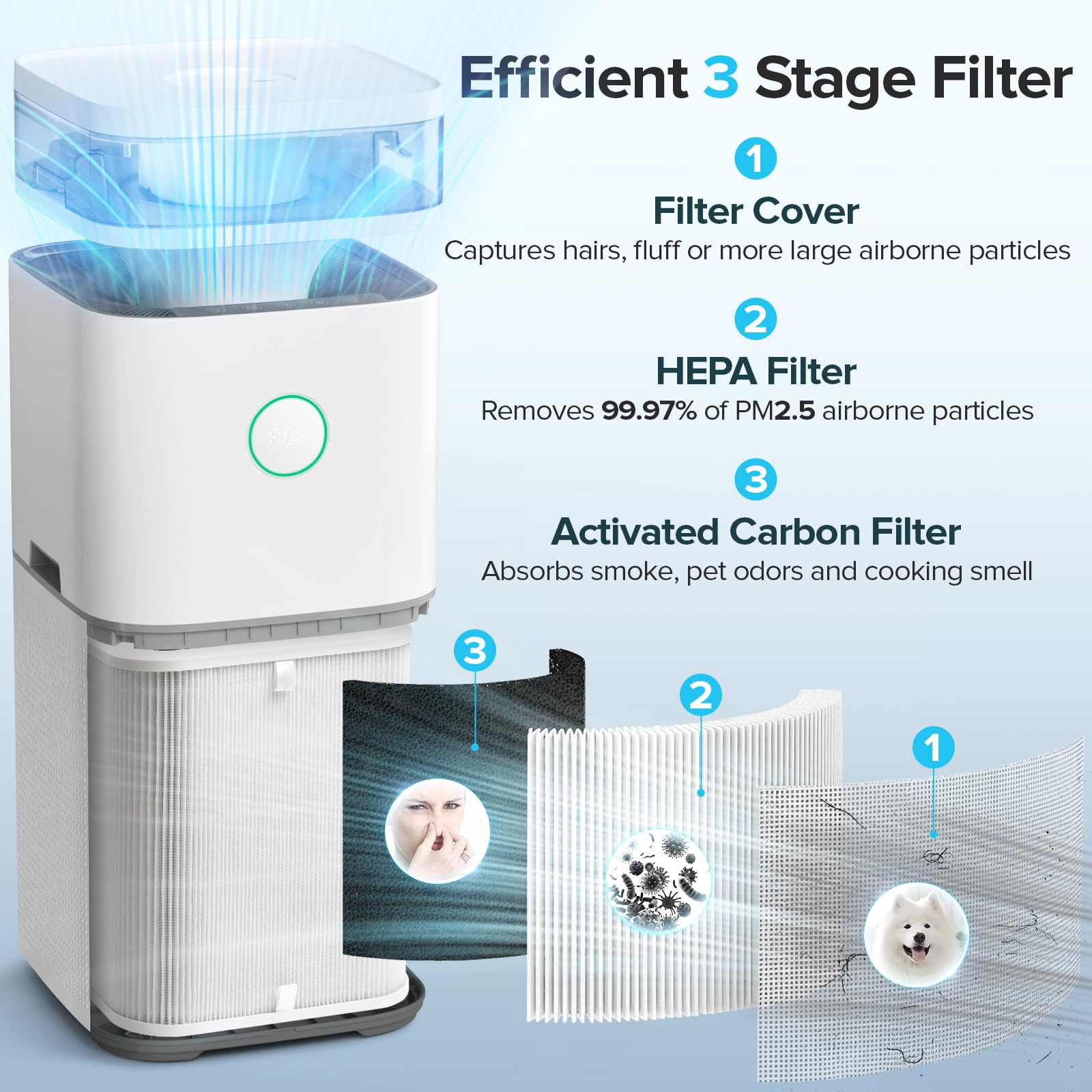 Air Purifier & Humidifier Combo for Large Rooms with Smart Sensors | Optimal Air Quality Control 2