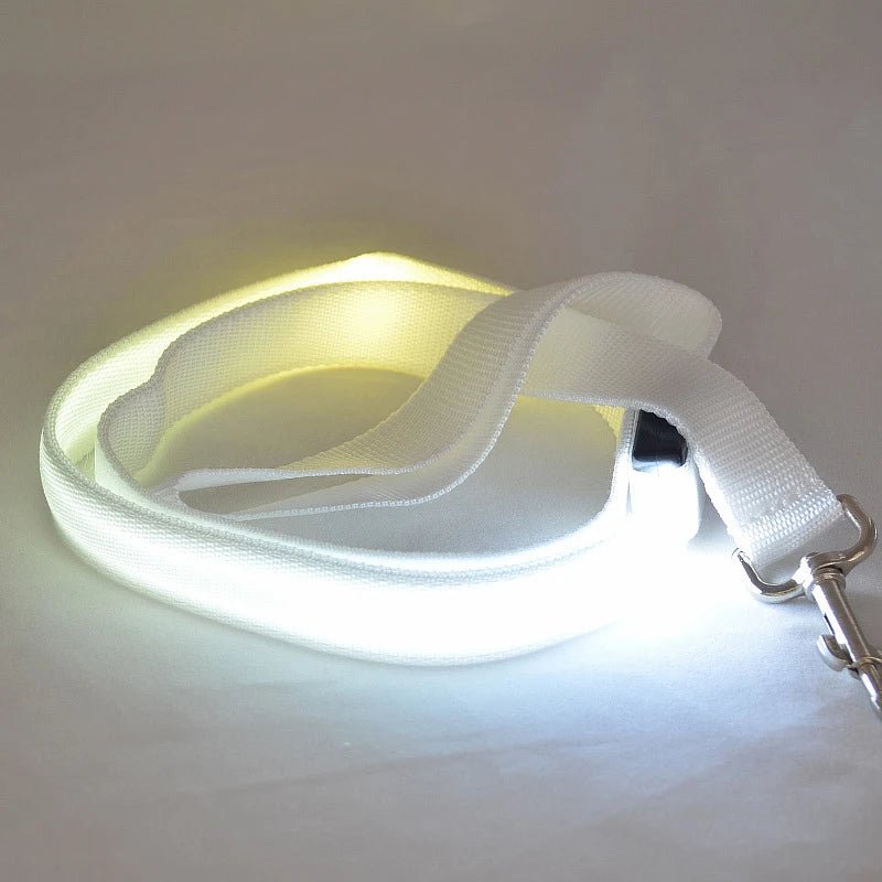 Light Up Dog Lead with USB Charging, LED Dog Leash, Reinforced Reflective Dog Lead for Small and Large Dogs_10