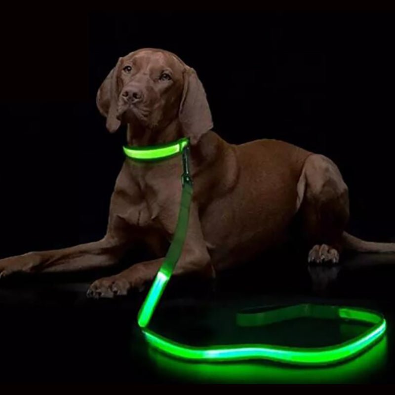 Light Up Dog Lead with USB Charging, LED Dog Leash, Reinforced Reflective Dog Lead for Small and Large Dogs_03