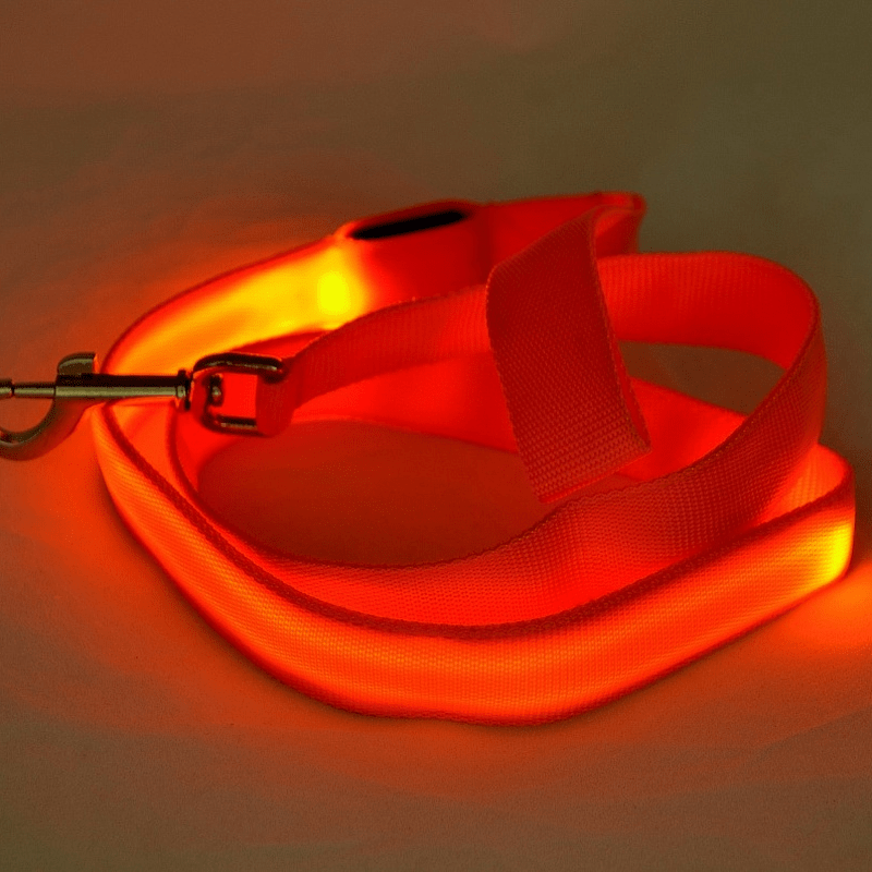 Light Up Dog Lead with USB Charging, LED Dog Leash, Reinforced Reflective Dog Lead for Small and Large Dogs_05