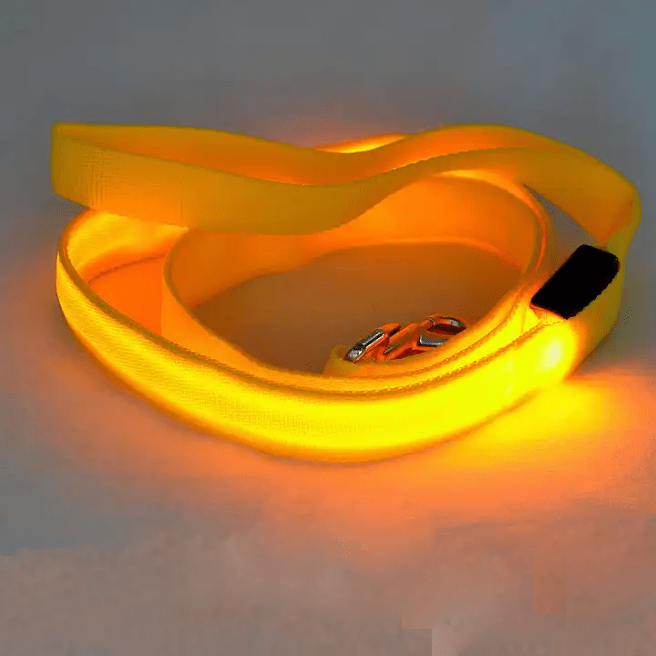 Light Up Dog Lead with USB Charging, LED Dog Leash, Reinforced Reflective Dog Lead for Small and Large Dogs_08