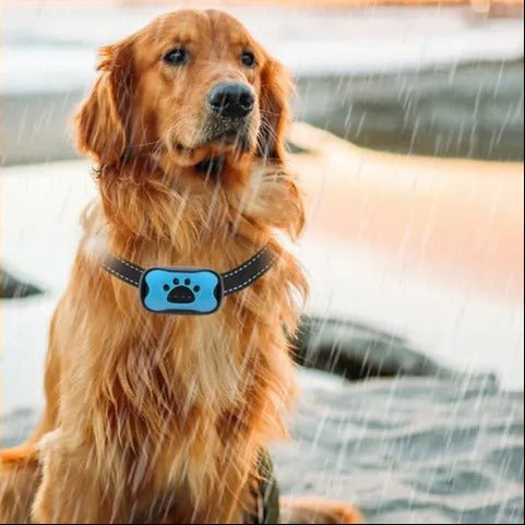 Anti Bark Dog Collar with Sound Waves, Dog Bark Collar with Voice Recognition, Adjustable Dog Training Collar 5 to 50 kg_03