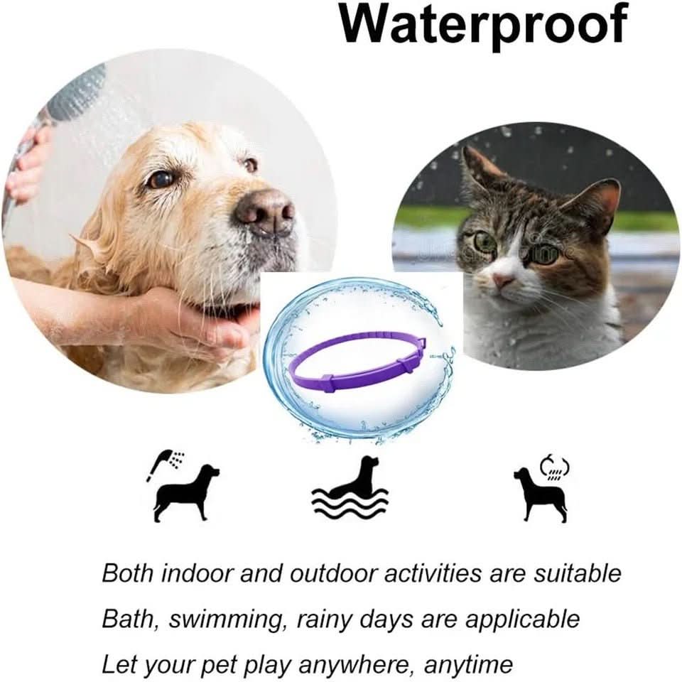 Dog Calming Collar with Pheromones, Waterproof Adjustable Collar for Separation Anxiety in Dogs – image 5