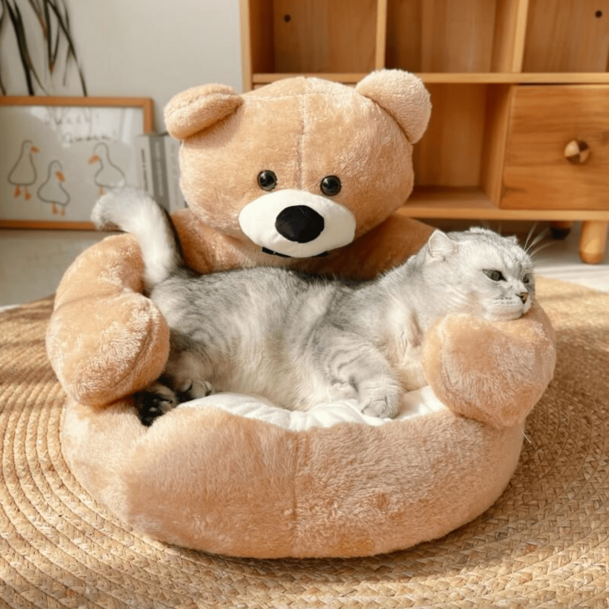 Round Cat Beds with Raised Edge