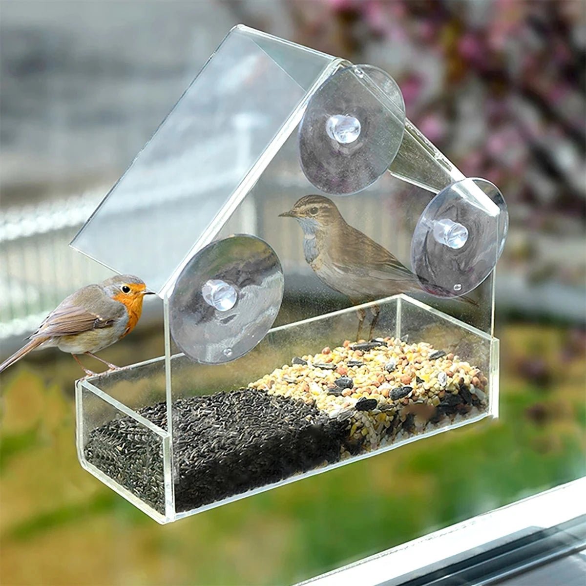 Window Bird Feeders with Strong Suction Cups, Clear Bird Feeder for Window, Weatherproof Garden Bird Feeder_04