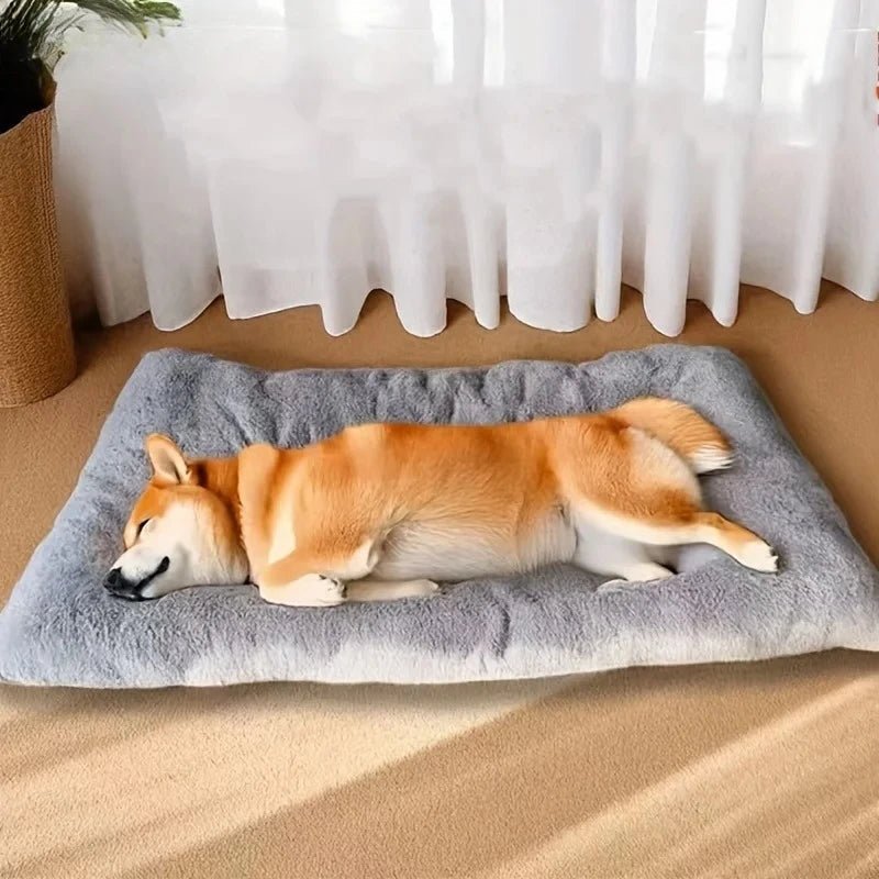 Memory Foam Dog Bed, Washable Dog Bed with Padded Edges