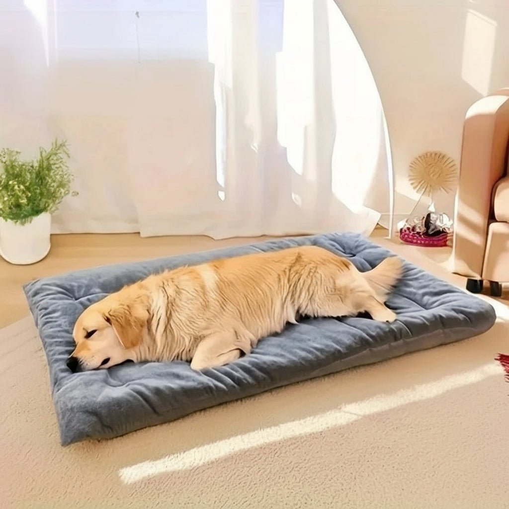 Memory Foam Dog Bed, Washable Dog Bed with Padded Edges – image 5
