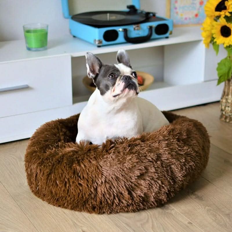 Calming Dog Bed with Non Slip Base, Fluffy Dog Bed for Large Dogs, Small Dog Bed with Removable Washable Cover