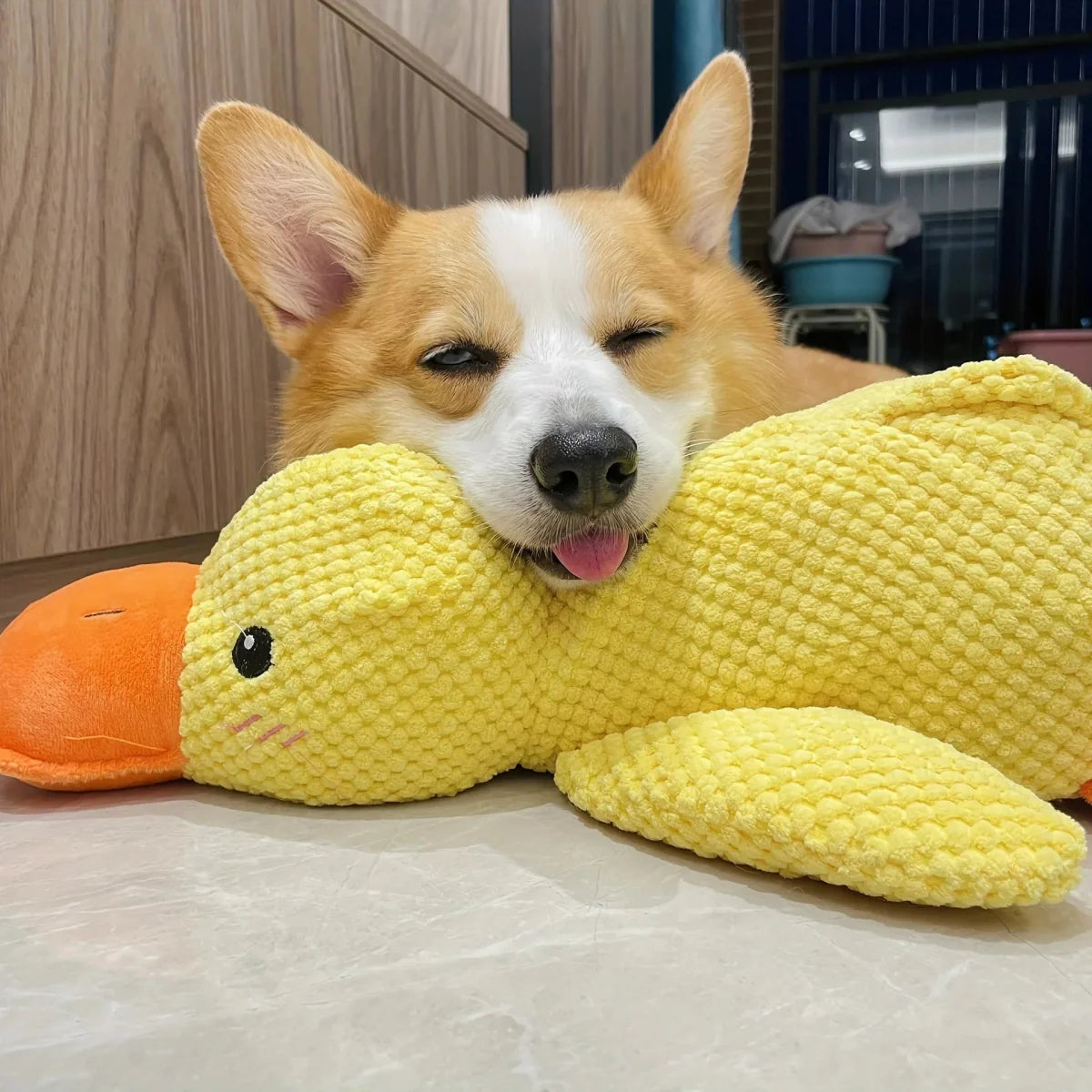 Calming Duck | Interactive Dog Toy with Quacking Sound | Engaging Chew Toy for Stress Relief 2