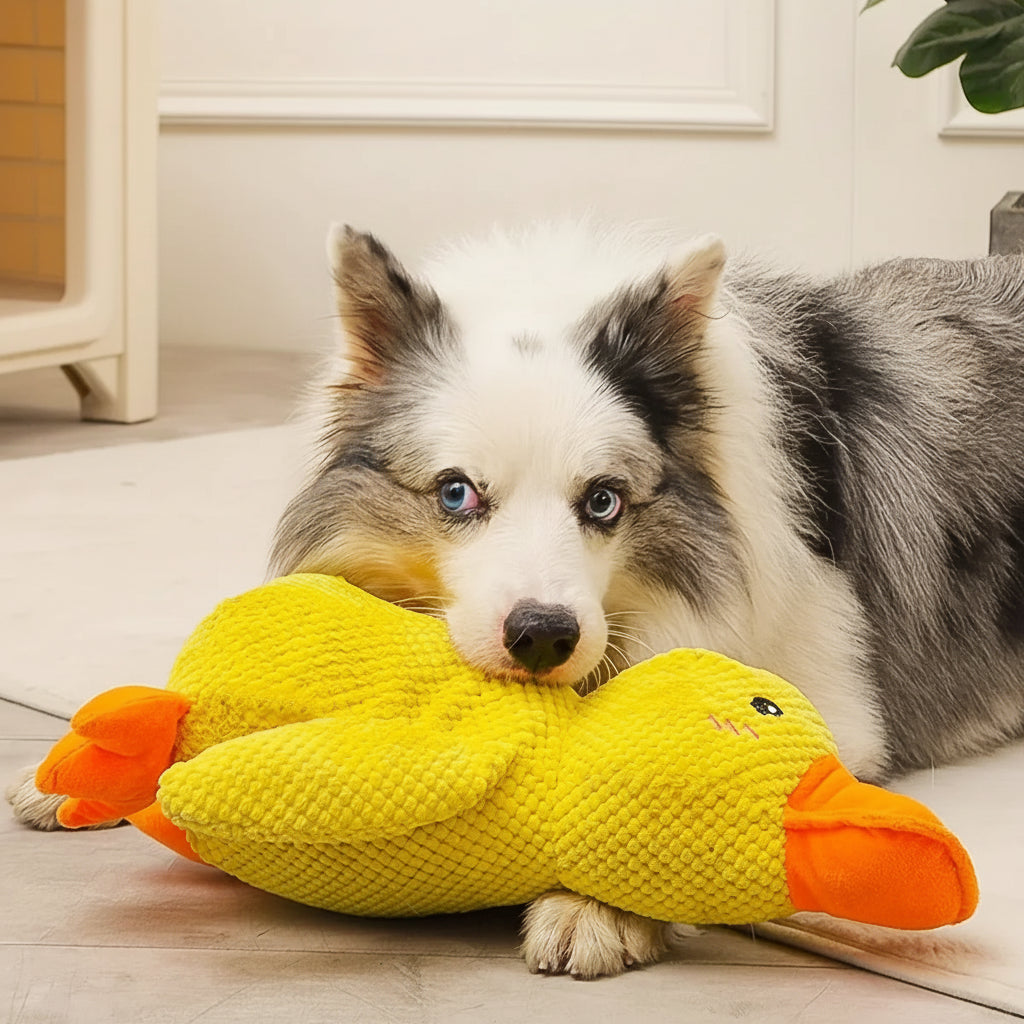 Calming Duck | Interactive Dog Toy with Quacking Sound | Engaging Chew Toy for Stress Relief 3