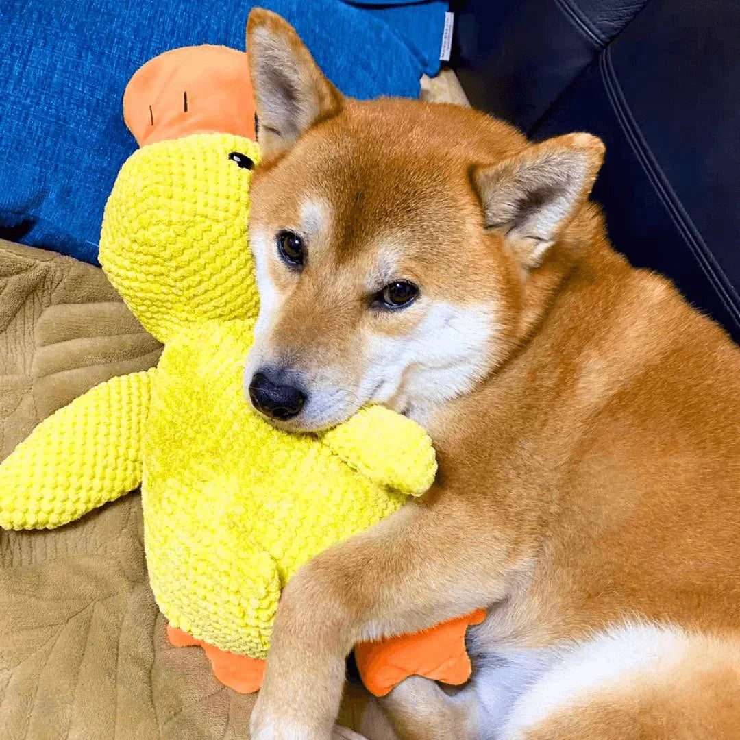 Calming Duck | Interactive Dog Toy with Quacking Sound | Engaging Chew Toy for Stress Relief 7