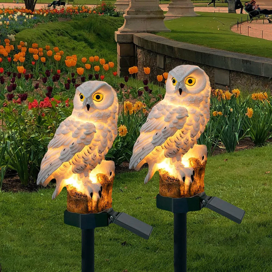 Charming Owl | Solar Lantern with Warm White LED Light | Waterproof Solar Garden Lamp for Enchanting Outdoor Ambiance 0