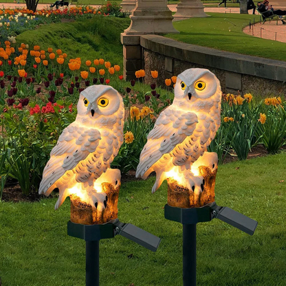 Charming Owl | Solar Lantern with Warm White LED Light | Waterproof Solar Garden Lamp for Enchanting Outdoor Ambiance 0