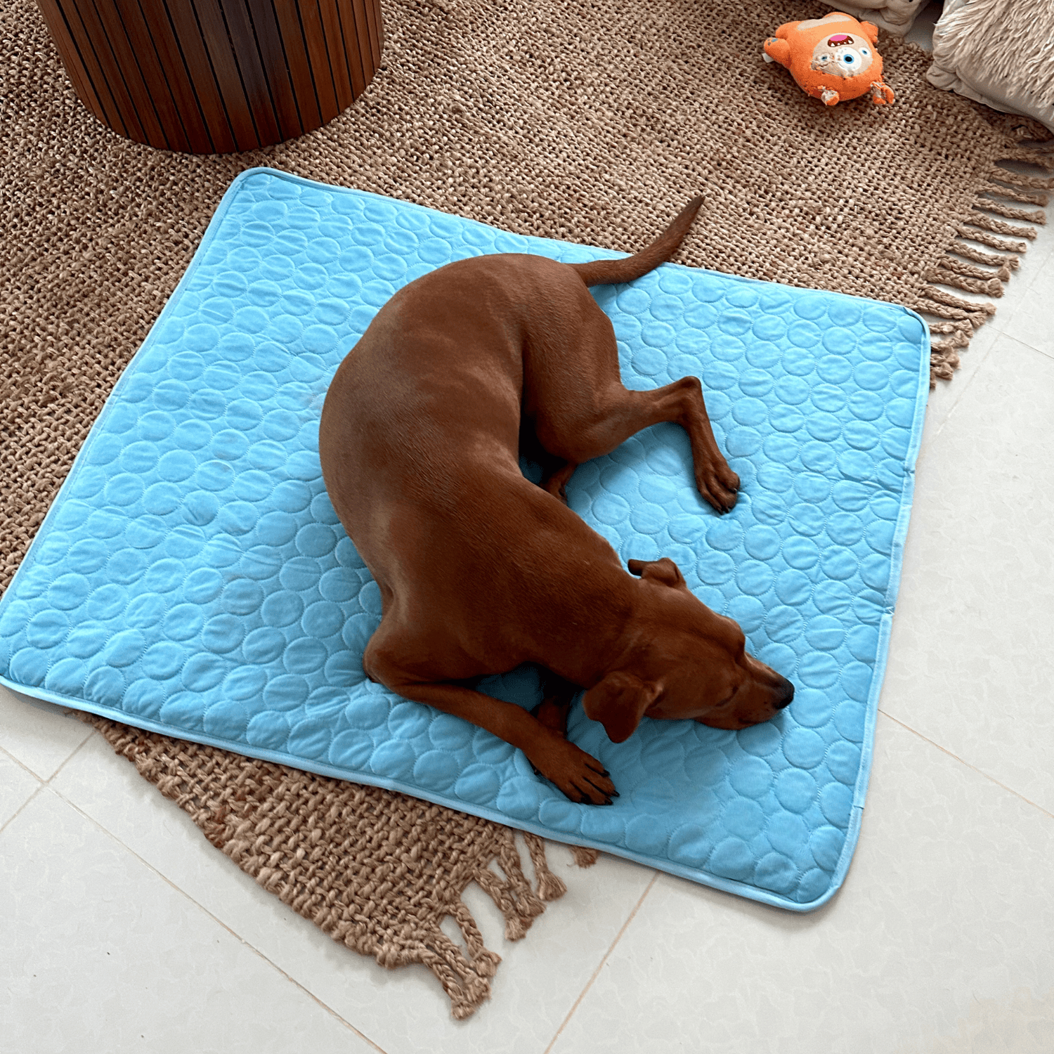 ComfortChill | Cooling Dog Mat with 4X Cooling Power | Durable Design for Hot Weather Relief
