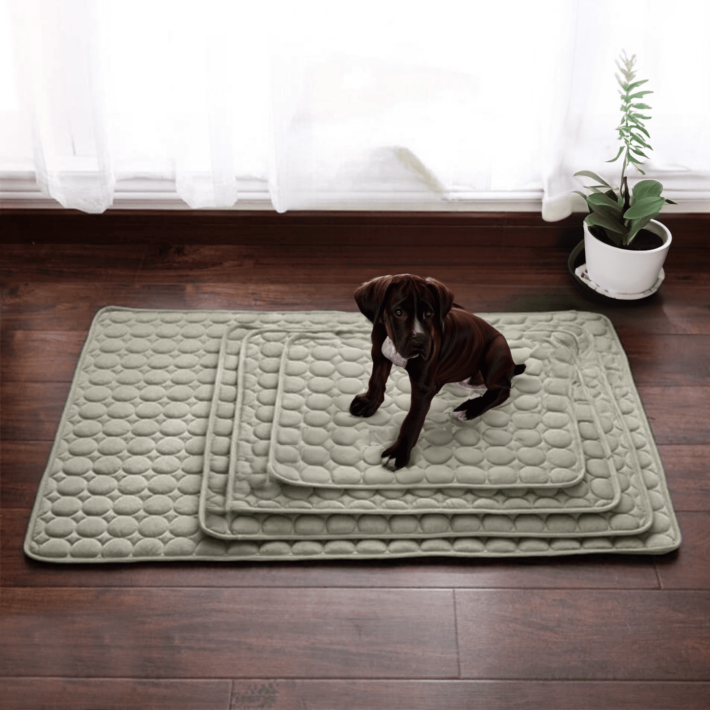 ComfortChill | Cooling Dog Mat with 4X Cooling Power | Durable Design for Hot Weather Relief 2