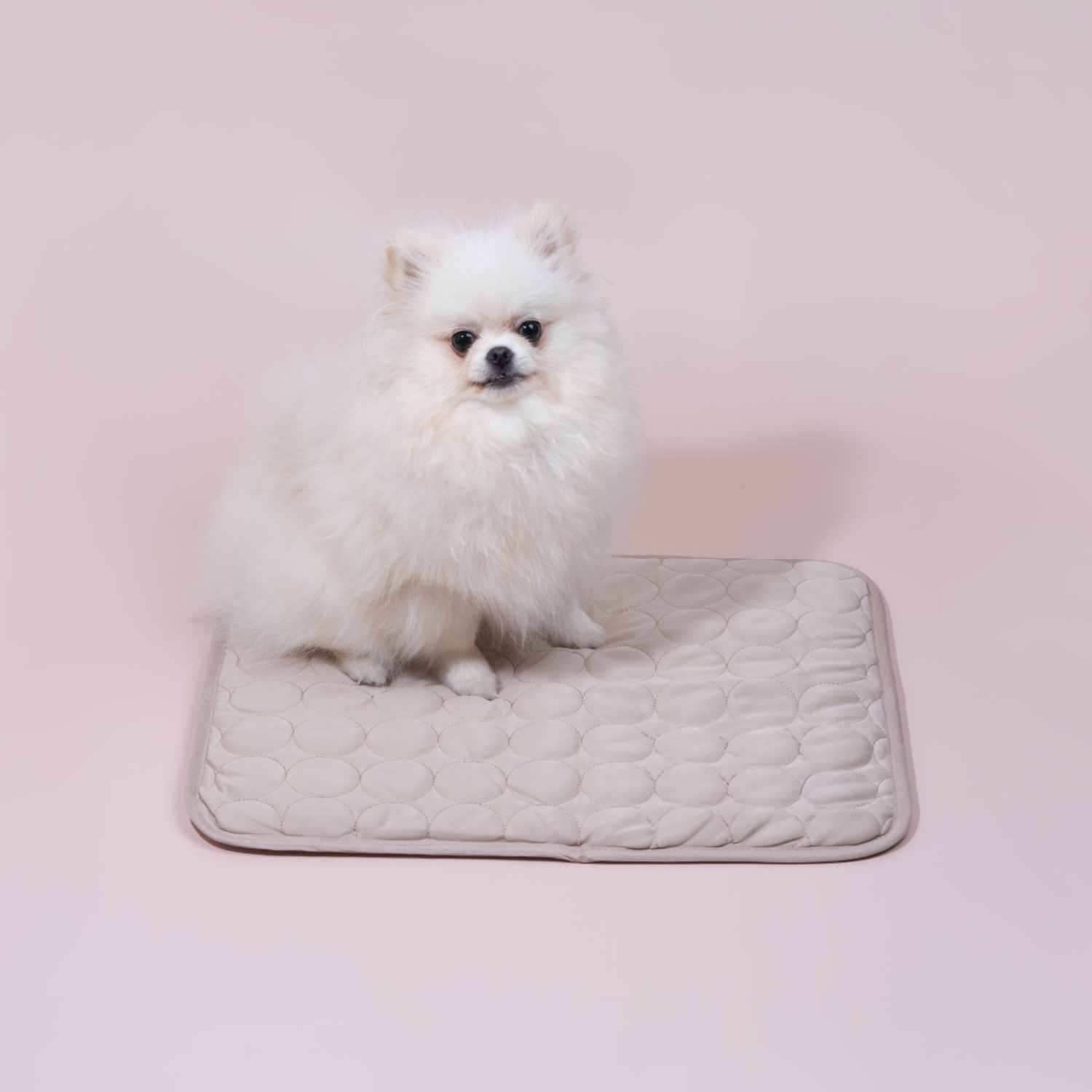 ComfortChill | Cooling Dog Mat with 4X Cooling Power | Durable Design for Hot Weather Relief 8
