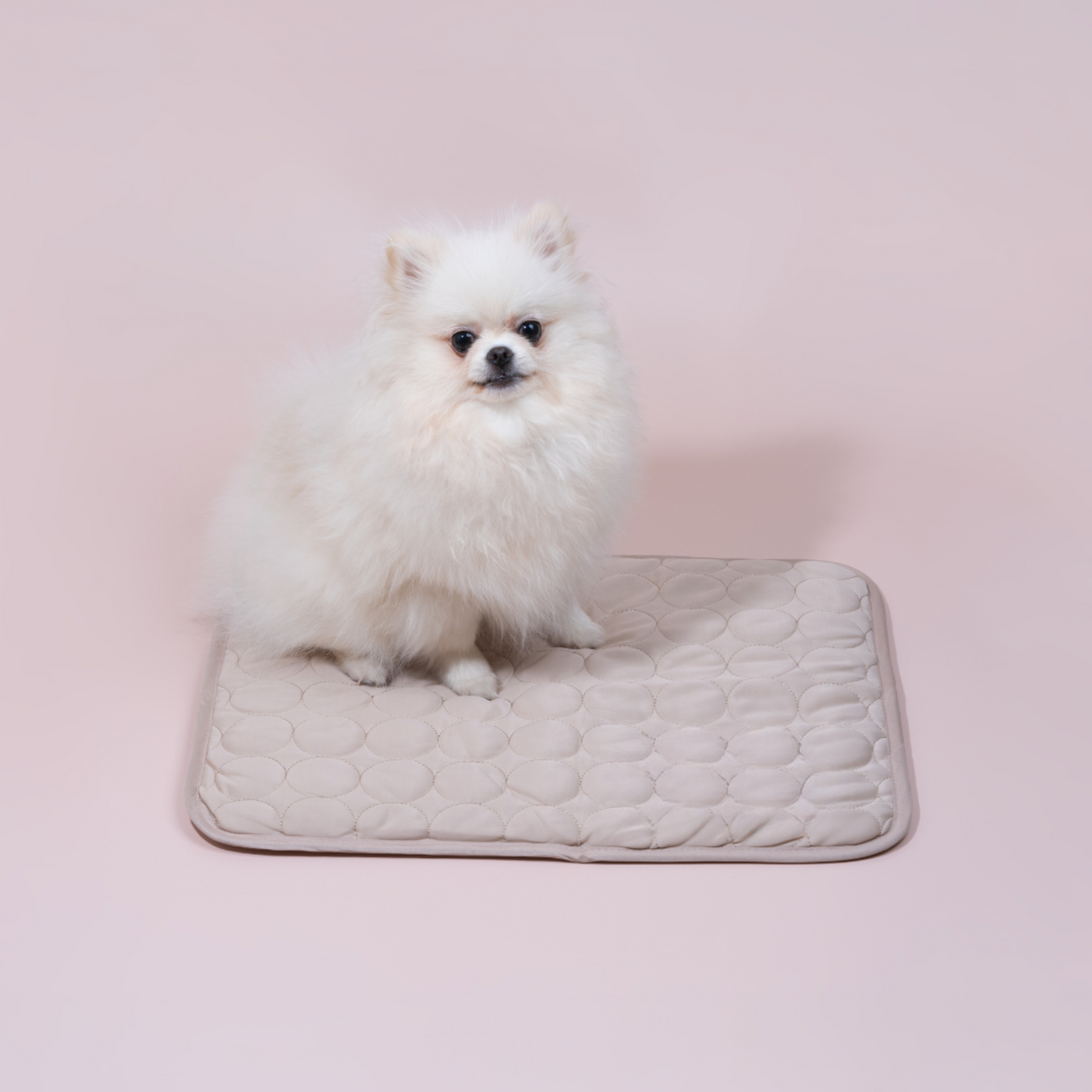 ComfortChill | Cooling Dog Mat with 4X Cooling Power | Durable Design for Hot Weather Relief 8