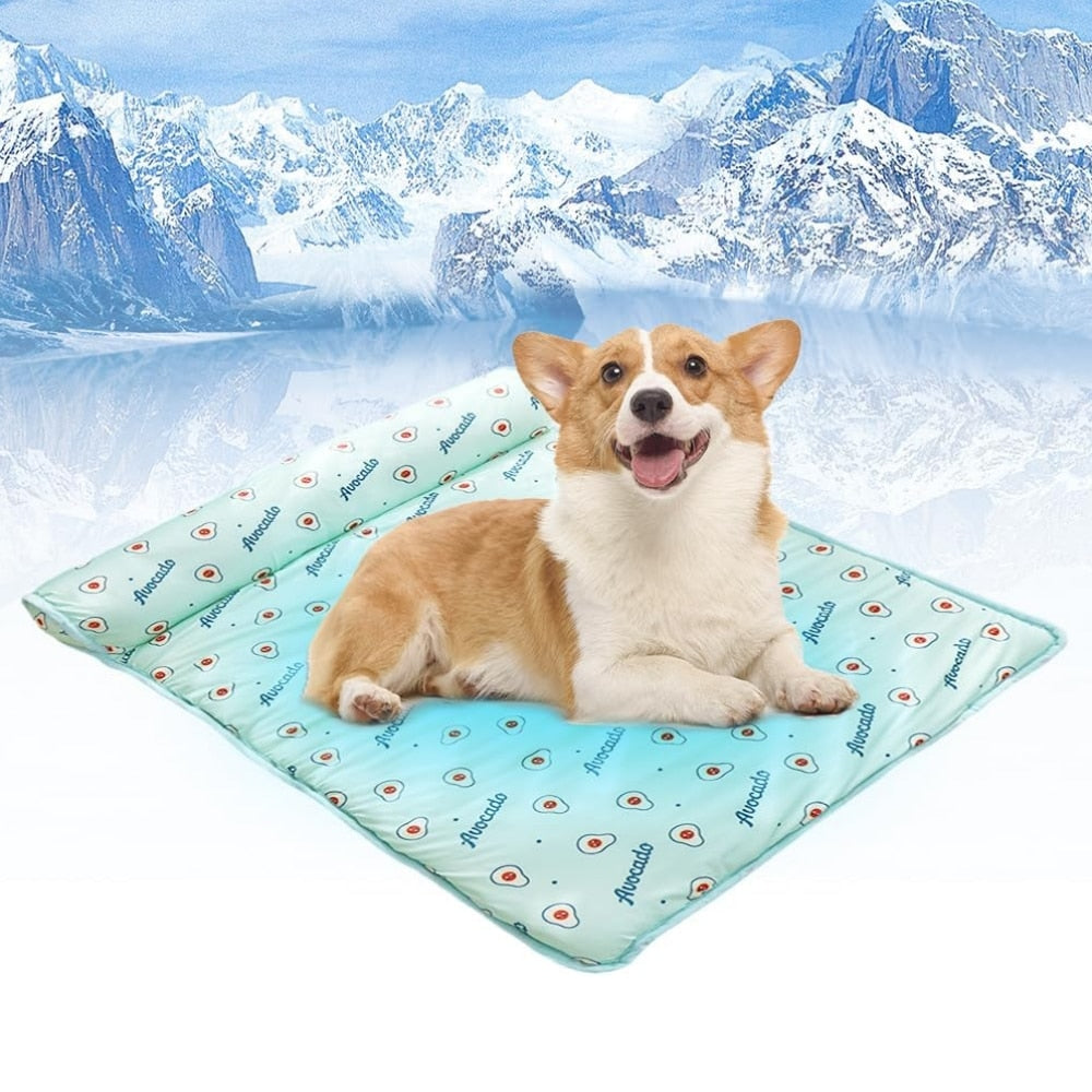 Comfort Haven | Self-Cooling Dog Bed with Plush Pillow | Easy-Clean Design for Ultimate Relaxation 4