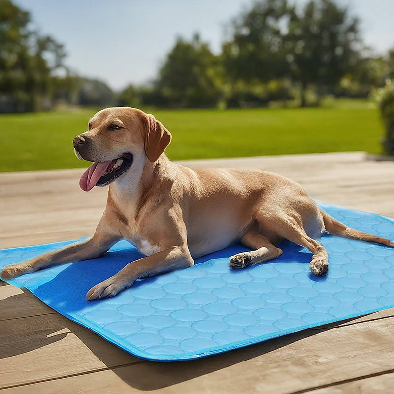 Comfort Pet | Self-Cooling Dog Mat with Innovative Cooling Technology | Ideal for Hot Weather Relief 2