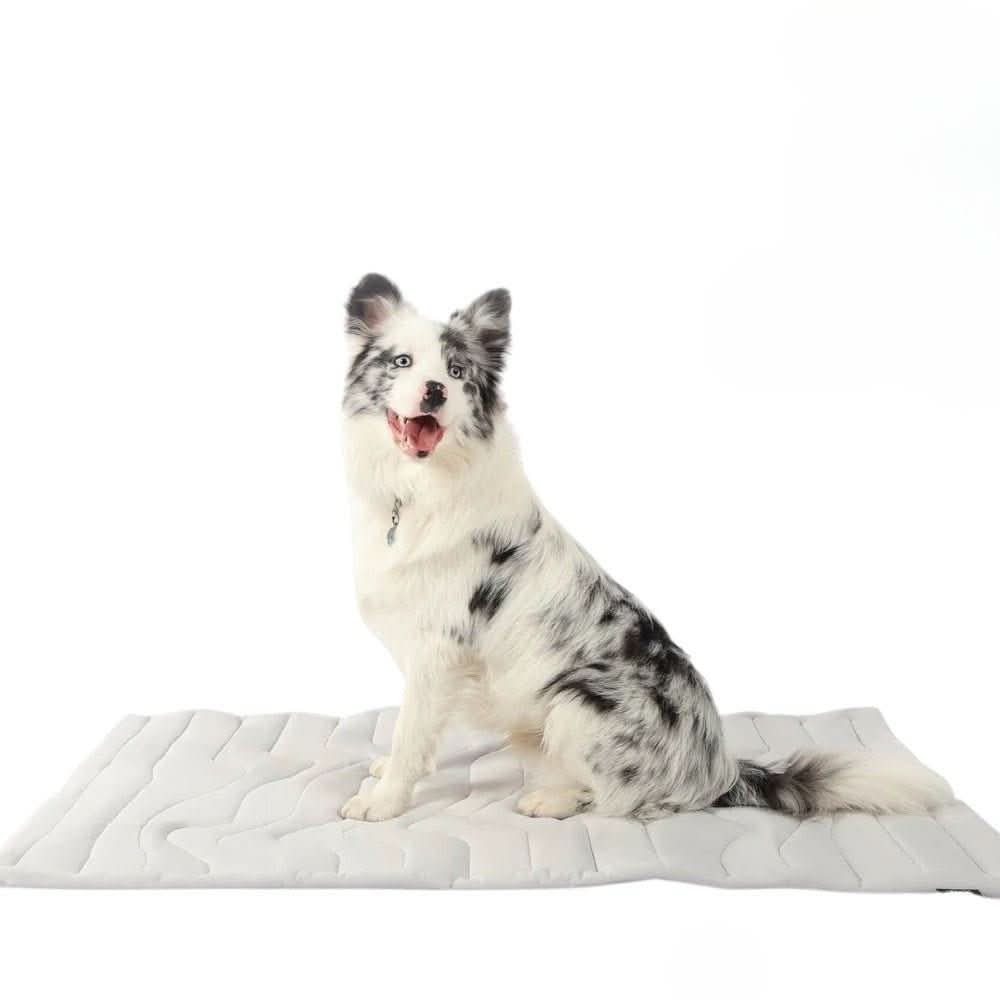 CoolPaws | Self-Cooling Dog Mat with Automatic Cooling Technology | Portable & Lightweight for Instant Relief