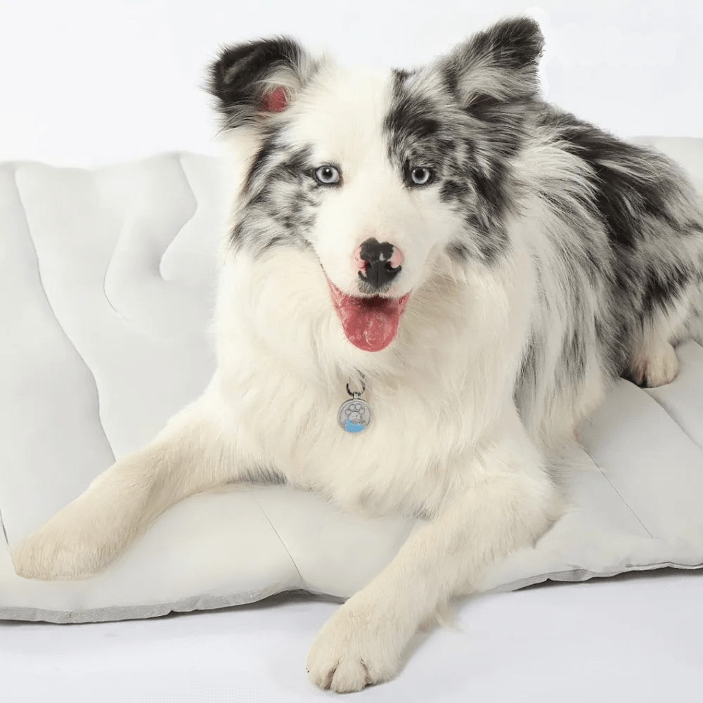CoolPaws | Self-Cooling Dog Mat with Automatic Cooling Technology | Portable & Lightweight for Instant Relief 1