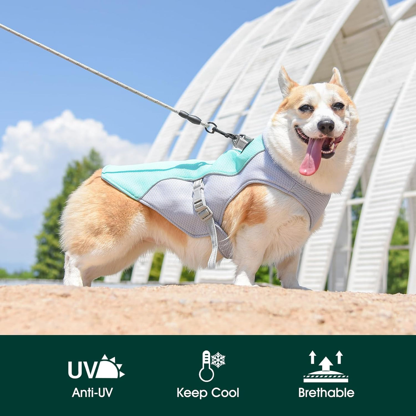 Cooling Dog Vest | Reflective Summer Harness with Lightweight Fabric | Adjustable Fit for Comfort 3