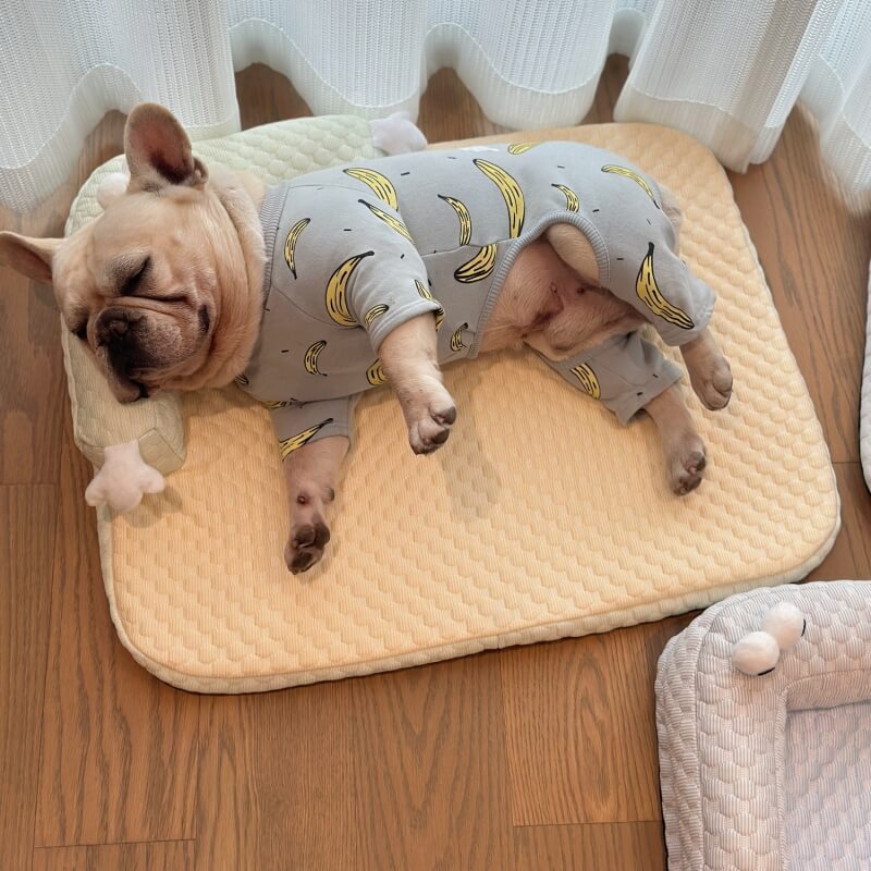 Cooling Pet Bed | Advanced Dog Bed with Non-Slip Base & Neck Support | Ideal for Summer Comfort 2