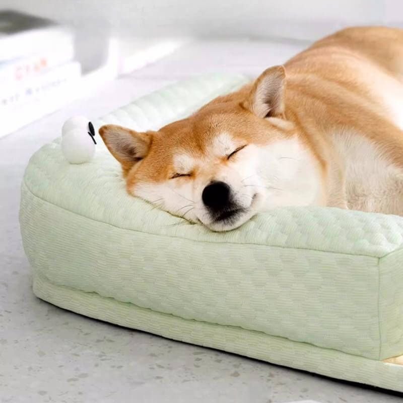 Cooling Pet Bed | Advanced Dog Bed with Non-Slip Base & Neck Support | Ideal for Summer Comfort 3
