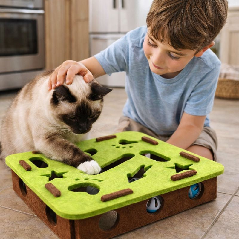 Curious Cat | Interactive Cat Toy with Soft Tunnels & Hidden Ball | Engaging Fun for Indoor Play 2