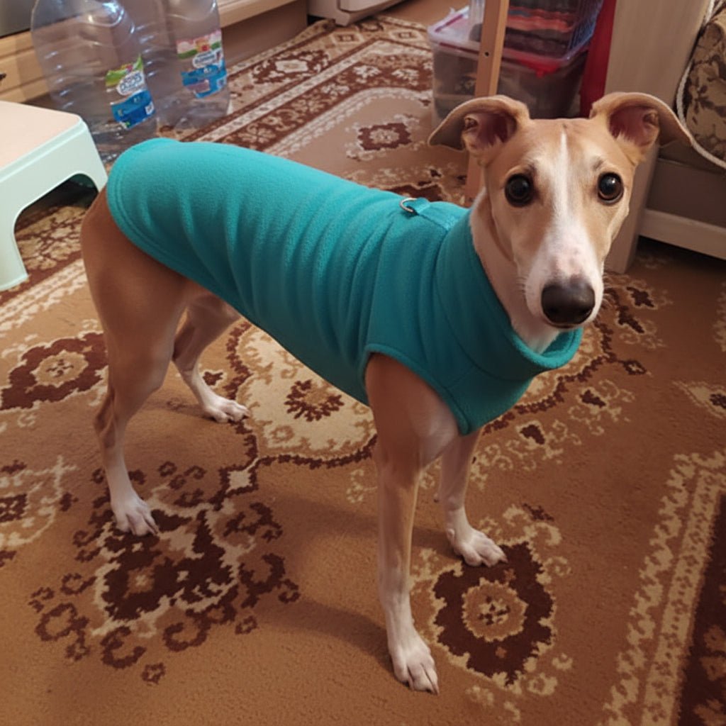 Warm Dog Vest with D Ring, Fleece Dog Coat for Small Dogs and Cats, Warm Dog Jacket_17