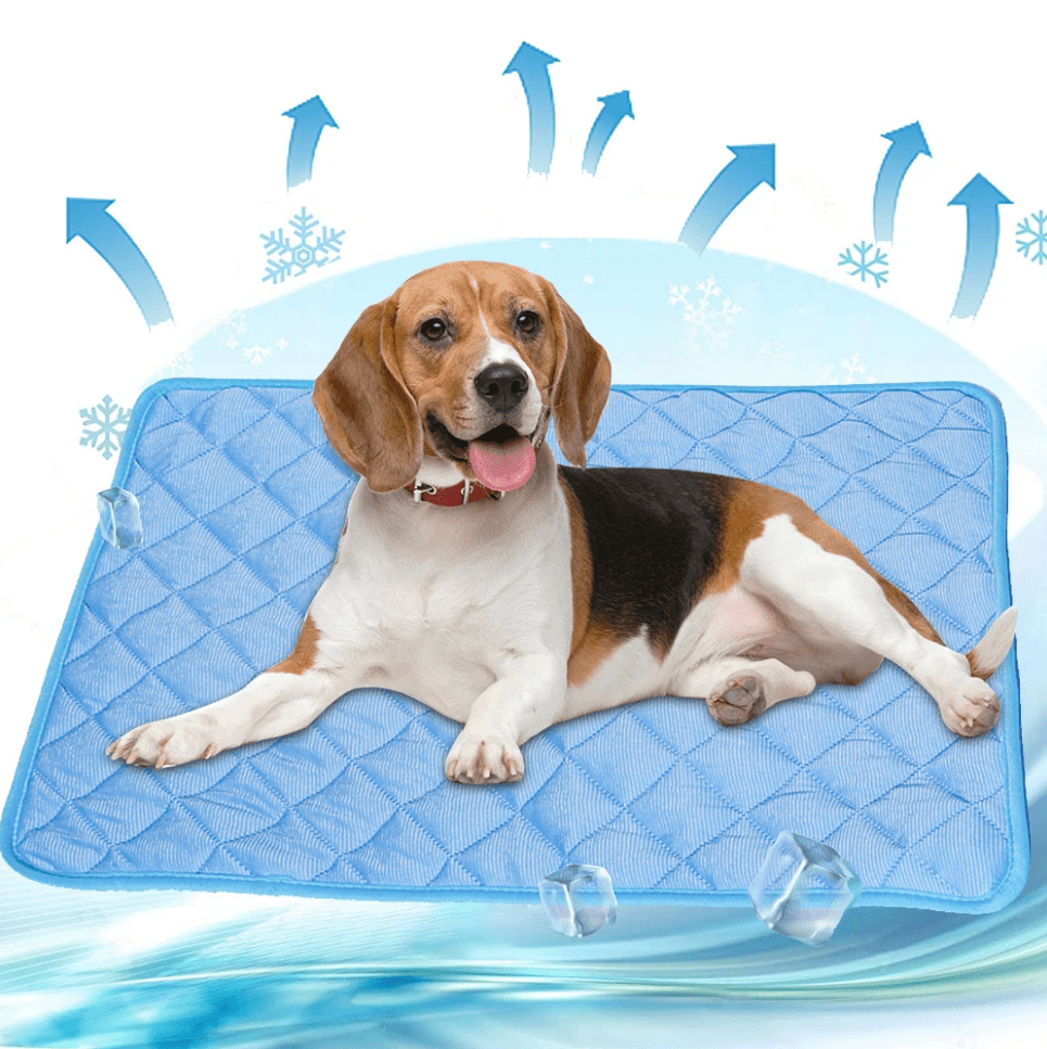 DogCool | Self-Cooling Dog Mat with Pressure-Activated Gel | Comfortable Solution for Hot Days