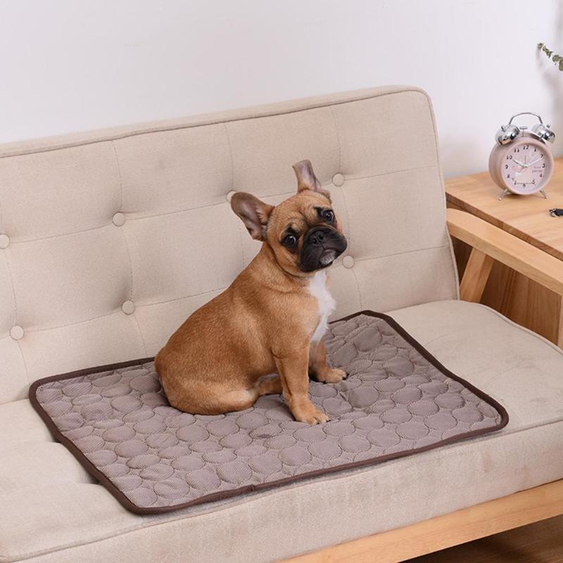 DogCool | Self-Cooling Dog Mat with Pressure-Activated Gel | Comfortable Solution for Hot Days 6