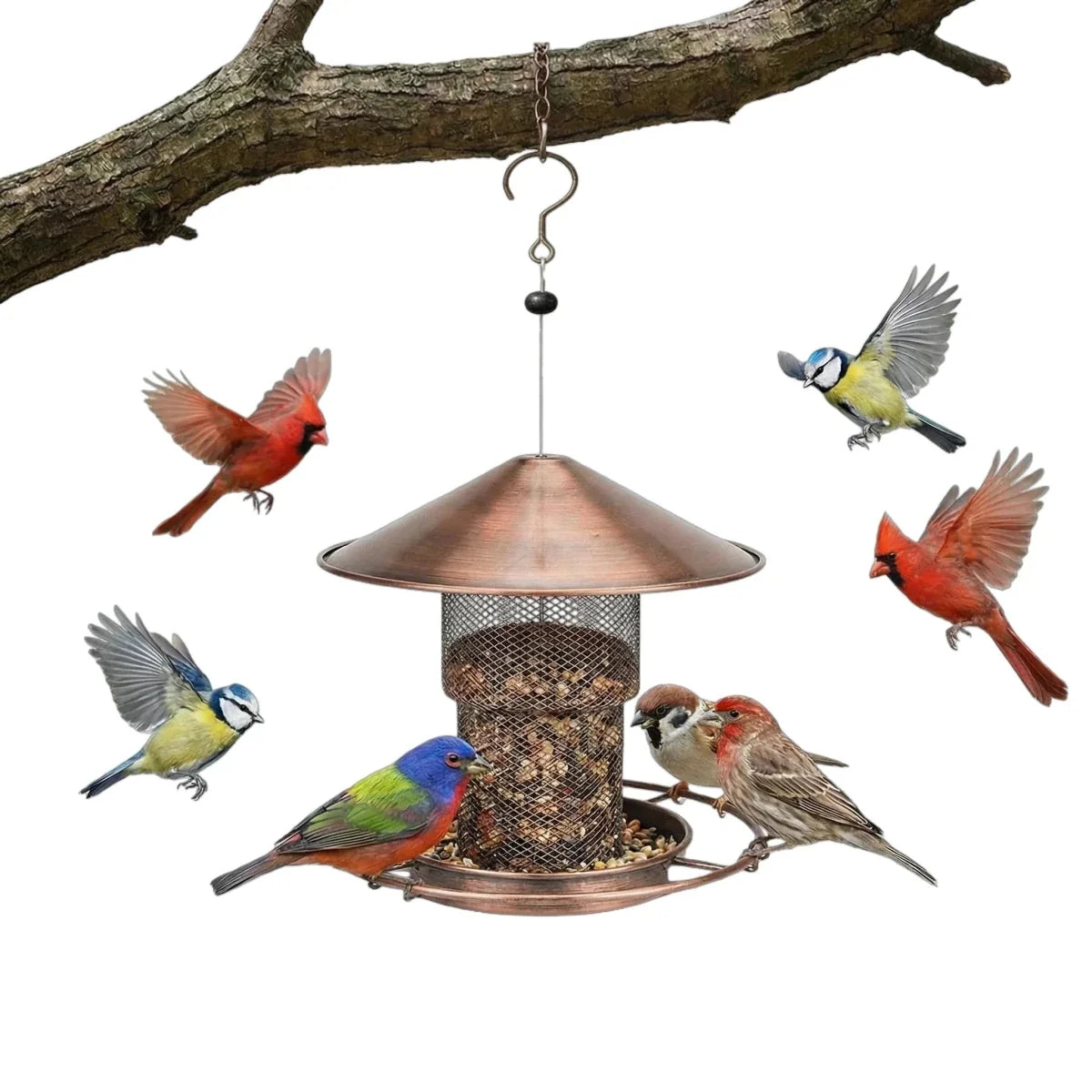 Squirrel Proof Bird Feeder Made of Iron with Automatic Refill
