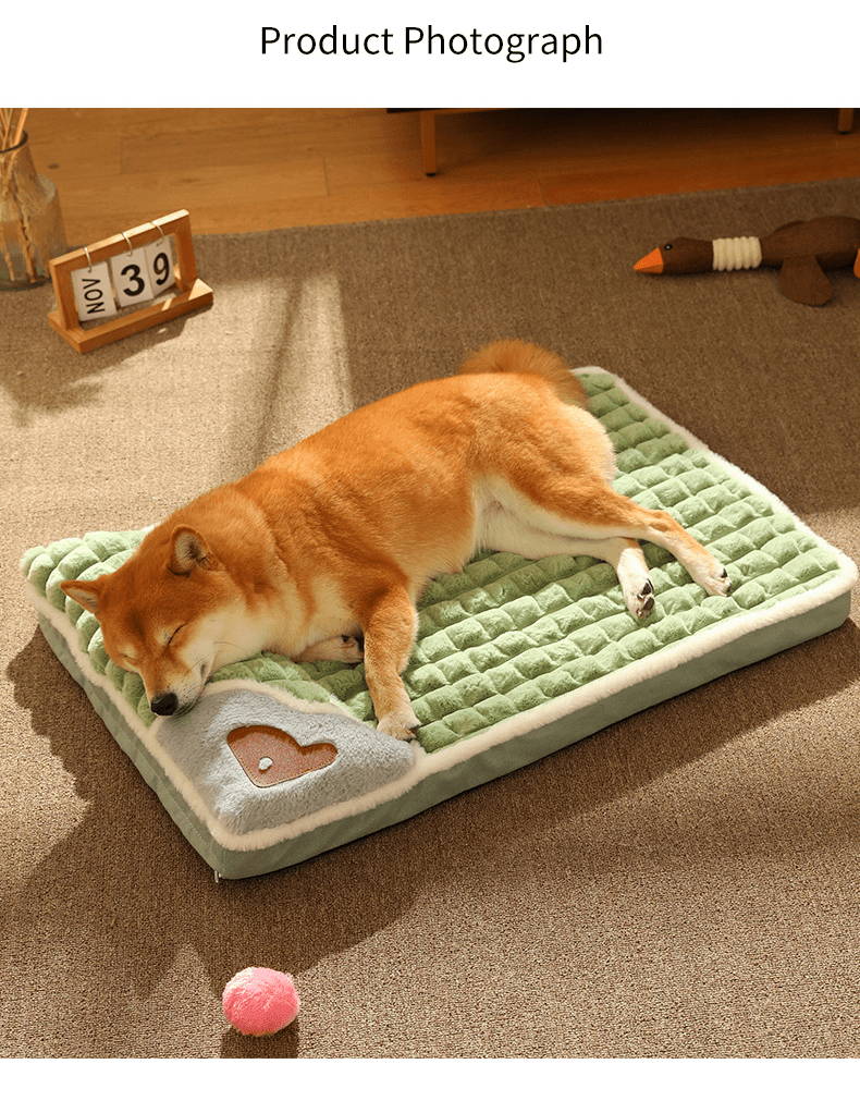 Dog Bed for Small Dogs, Washable Dog Bed with Removable Cover, Plush Medium Dog Bed with Non Slip Base