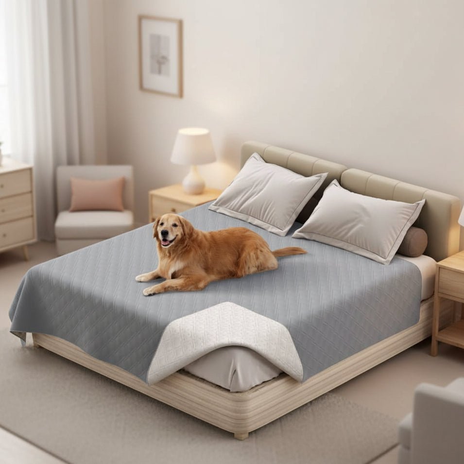 Waterproof Dog Blanket, Sofa Cover for Dogs, Dog Car Seat Cover, Couch Protector, Pet Blanket for Bed_00