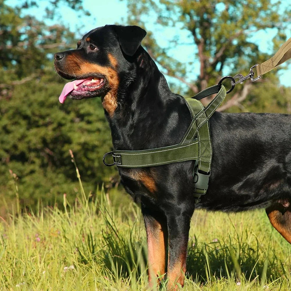 No Pull Dog Harness with Handle, Reflective Puppy Harness, Dog Harness for Small Dogs and Large Dogs, Dog Accessories