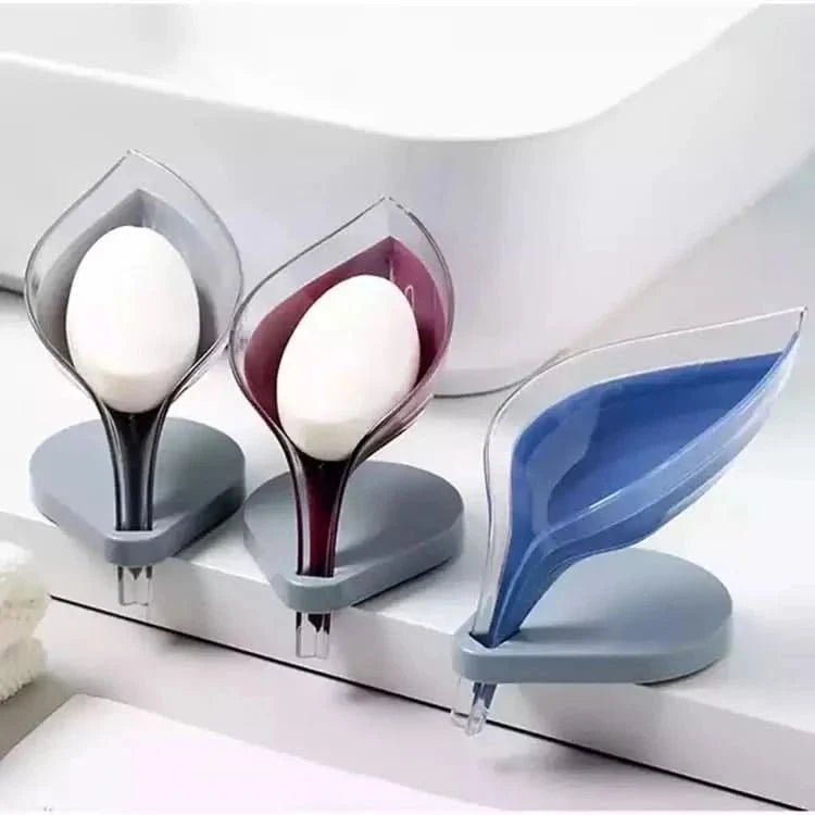 Soap Holder with Drain