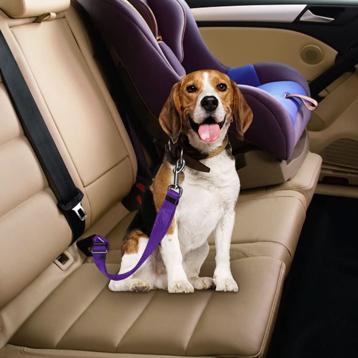 Dog Seat Belt for Car, Puppy Car Seat Belt