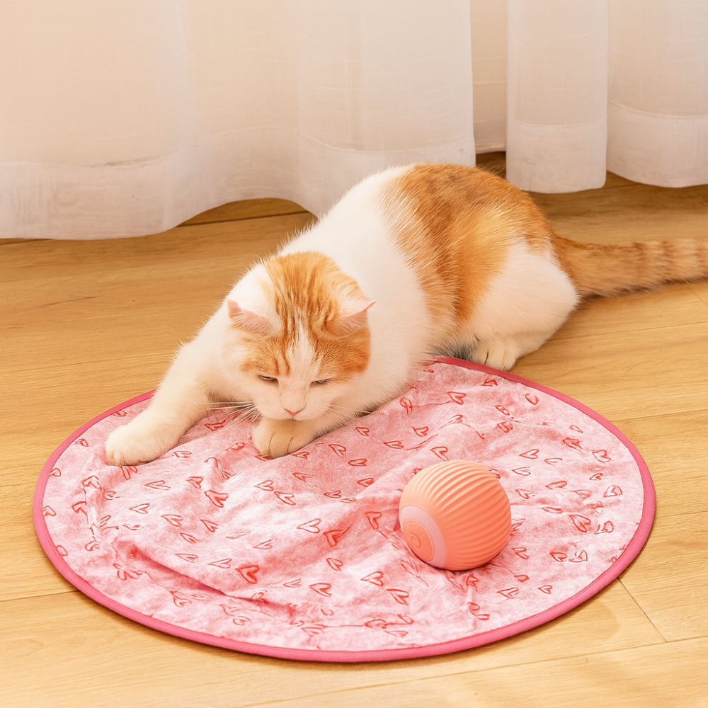 Interactive Cat Toy Play Mat with Chase Ball for Active Playtime