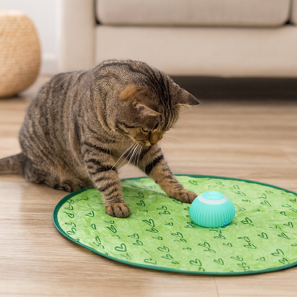 Interactive Cat Toy Play Mat with Chase Ball for Active Playtime 2