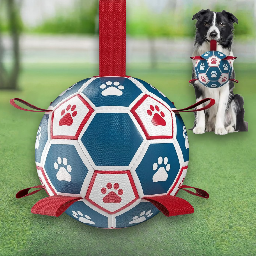 Interactive Dog Toy | Durable Soccer Ball with Rope Grip for Outdoor Fun 0